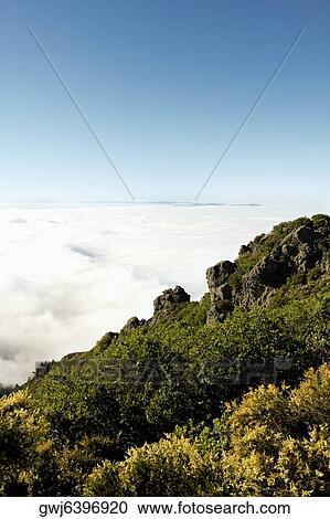 Panoramic view of a mountain, Mt. Tamalpais State Park, California, USA View Large Photo Image Stock Image - Panoramic view of a mountain, Mt. Tamalpais State Park, California, USA. Fotosearch