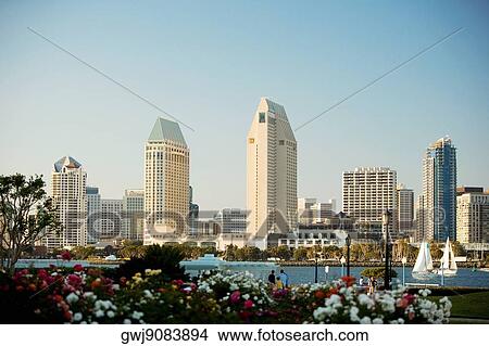 Panoramic view of downtown San Diego from Coronado Island, San Diego, California, USA View Large Photo Image Picture - Panoramic view of downtown San Diego from Coronado Island, San Diego, California, USA. Fotosearch