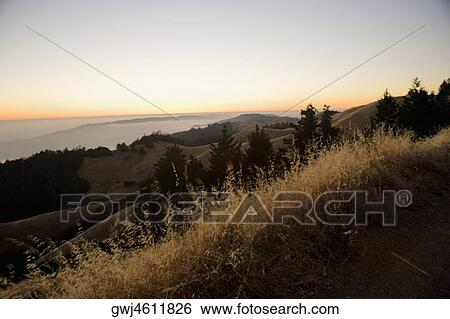 Panoramic view of the sea at dusk, California, USA View Large Photo Image Stock Photograph - Panoramic view of the sea at dusk, California, USA. Fotosearch
