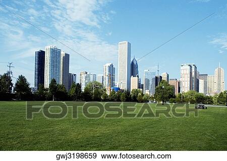 Park in front of skyscrapers in a city, Chicago, Illinois, USA View Large Photo Image Stock Photo - Park in front of skyscrapers in a city, Chicago, Illinois, USA. Fotosearch