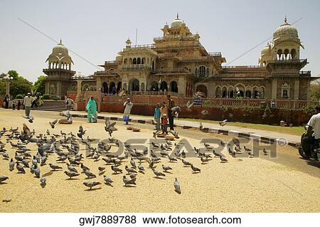 People feeding pigeons outside a museum, Government Central Museum, Jaipur, Rajasthan, India View Large Photo Image Stock Photo - People feeding pigeons outside a museum, Government Central Museum, Jaipur, Rajasthan, India. Fotosearch