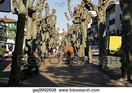 People walking on a tree lined sidewalk, Spain View Large Photo Image Stock Photo - People walking on a tree lined sidewalk, Spain. Fotosearch