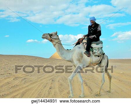 Portrait of a man riding a camel View Large Photo Image Stock Image - Portrait of a man riding a camel. Fotosearch