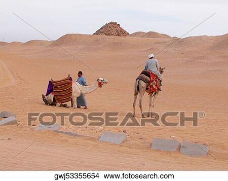 Rear view of a man riding a camel View Large Photo Image Picture - Rear view of a man riding a camel. Fotosearch