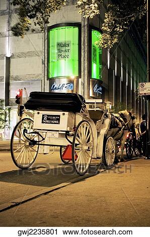 Rear view of horse carriages in front of a building, Michigan Avenue, Chicago, Illinois, USA View Large Photo Image Stock Image - Rear view of horse carriages in front of a building, Michigan Avenue, Chicago, Illinois, USA. Fotosearch