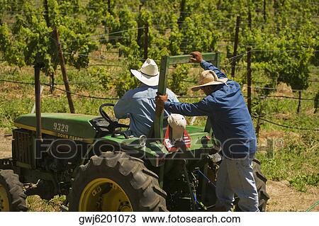 Rear view of two farmers on a tractor View Large Photo Image Stock Image - Rear view of two farmers on a tractor. Fotosearch