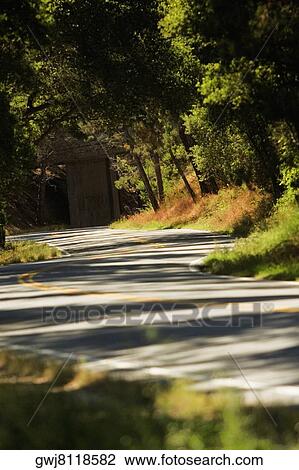 Road passing through a forest View Large Photo Image Stock Image - Road passing through a forest. Fotosearch