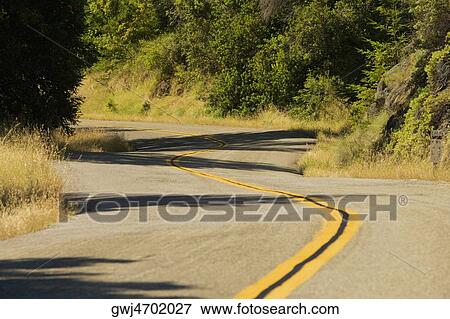 Road passing through a forest View Large Photo Image Stock Photo - Road passing through a forest. Fotosearch