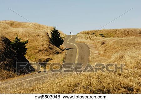 Road passing through a landscape View Large Photo Image Stock Photo - Road passing through a landscape. Fotosearch