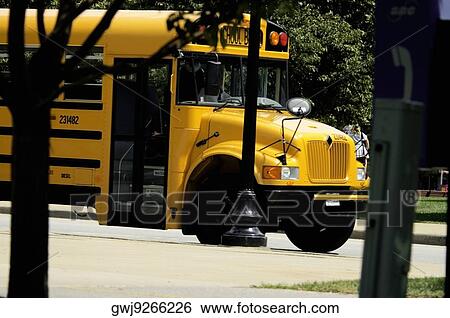 School bus parked on the street, Chicago, Illinois, USA View Large Photo Image Stock Photograph - School bus parked on the street, Chicago, Illinois, USA. Fotosearch