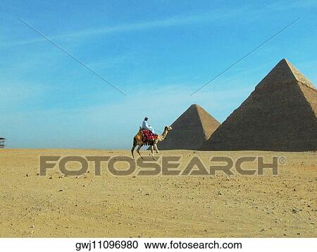 Side profile of a man on a camel in front of pyramids, Giza Pyramids, Giza, Cairo, Egypt View Large Photo Image Stock Image - Side profile of a man on a camel in front of pyramids, Giza Pyramids, Giza, Cairo, Egypt. Fotosearch