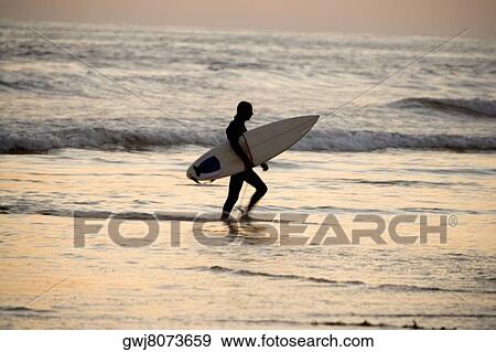 Side profile of a surfer walking on the beach, San Diego Bay, California, USA View Large Photo Image Stock Photo - Side profile of a surfer walking on the beach, San Diego Bay, California, USA. Fotosearch