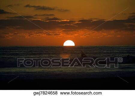 Stock Photo - Silhouette of people in the sea at dusk, San Diego, California, USA. Fotosearch