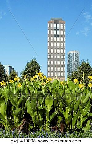 Stock Photo - Skyscrapers in a city, Chicago, Illinois, USA. Fotosearch