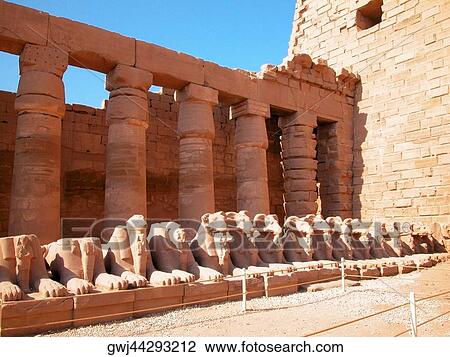 Statue of animals in a row, Temples Of Karnak, Luxor, Egypt View Large Photo Image Stock Image - Statue of animals in a row, Temples Of Karnak, Luxor, Egypt. Fotosearch