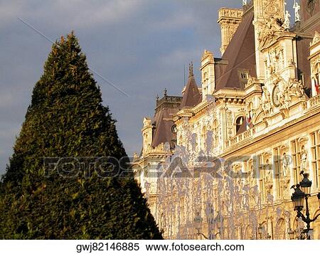 Stock Photography - Tree in front of a building, Paris, France. Fotosearch
