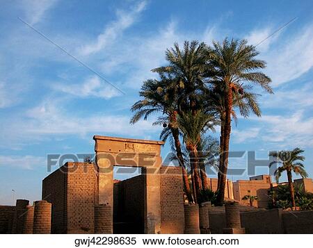 Trees at the entrance of a temple, Temples Of Karnak, Luxor, Egypt View Large Photo Image Stock Photography - Trees at the entrance of a temple, Temples Of Karnak, Luxor, Egypt. Fotosearch