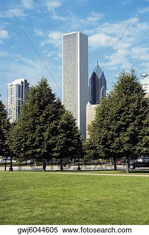 Trees in a park, Gateway Park, Chicago, Illinois, USA View Large Photo Image Stock Photography - Trees in a park, Gateway Park, Chicago, Illinois, USA. Fotosearch