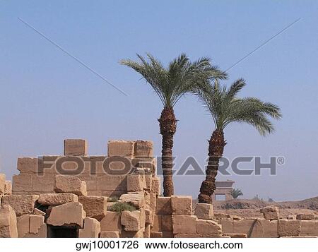 Two palm trees near a stone wall, Temples Of Karnak, Luxor, Egypt View Large Photo Image Stock Photograph - Two palm trees near a stone wall, Temples Of Karnak, Luxor, Egypt. Fotosearch