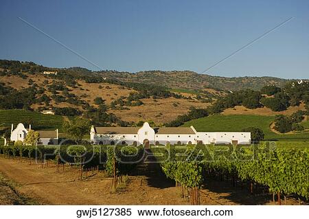 Vineyard in front of a building View Large Photo Image Stock Photography - Vineyard in front of a building. Fotosearch
