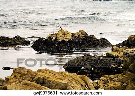 Stock Image - Waves flowing past rocks in a bay, California, USA. Fotosearch