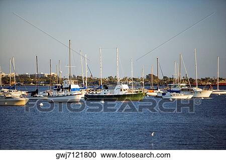 Yacht's docked at a harbor, San Diego Bay, California, USA View Large Photo Image Stock Image - Yacht's docked at a harbor, San Diego Bay, California, USA. Fotosearch