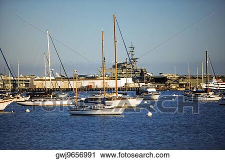 Yacht's docked at a harbor, San Diego Bay, California, USA View Large Photo Image Stock Image - Yacht's docked at a harbor, San Diego Bay, California, USA. Fotosearch
