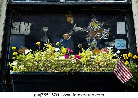 American flag with plants in a window box, Boston, Massachusetts, USA View Large Photo Image Stock Image - American flag with plants in a window box, Boston, Massachusetts, USA. Fotosearch
