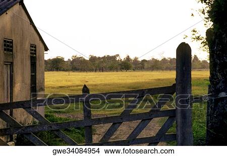 Picture - Building on a landscape. Fotosearch