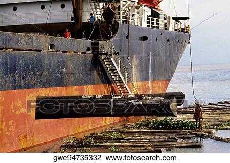 Cargo ship being loaded with logs View Large Photo Image Stock Image - Cargo ship being loaded with logs. Fotosearch