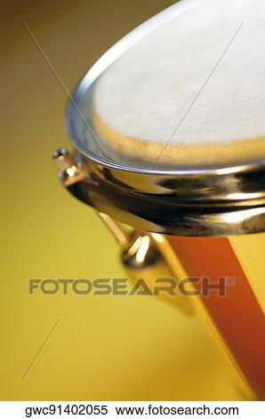 Close-up of a bongo View Large Photo Image Stock Photography - Close-up of a bongo. Fotosearch