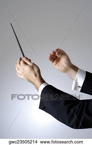 Picture - Close-up of a conductor holding a baton. Fotosearch