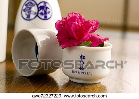 Close-up of a flower in a cup View Large Photo Image Stock Photo - Close-up of a flower in a cup. Fotosearch