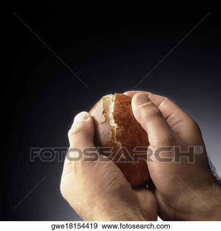 Close-up of a person's hands holding a bun View Large Photo Image Stock Photo - Close-up of a person's hands holding a bun. Fotosearch