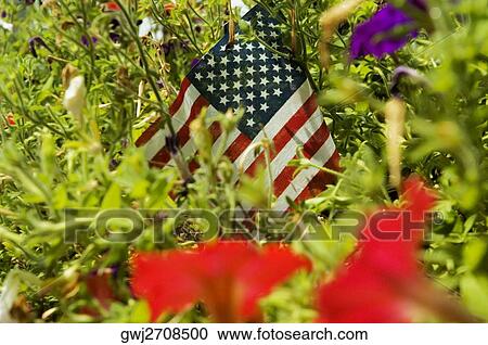 Close-up of an American flag in a bush, Boston, Massachusetts, USA View Large Photo Image Stock Image - Close-up of an American flag in a bush, Boston, Massachusetts, USA. Fotosearch