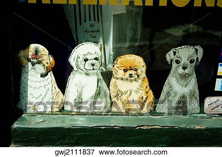 Close-up of dog cutouts in a display window, Boston, Massachusetts, USA View Large Photo Image Stock Photo - Close-up of dog cutouts in a display window, Boston, Massachusetts, USA. Fotosearch