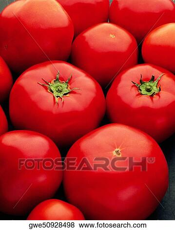 Close-up of tomatoes View Large Photo Image Stock Photo - Close-up of tomatoes. Fotosearch