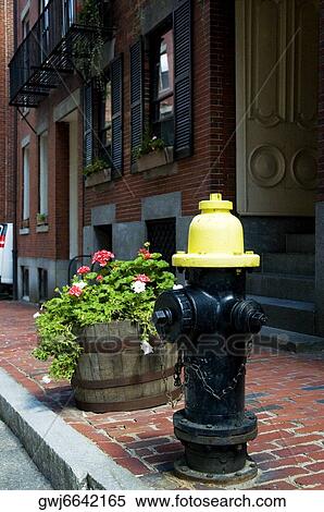 Fire hydrant on a street, Boston, Massachusetts, USA View Large Photo Image Stock Photography - Fire hydrant on a street, Boston, Massachusetts, USA. Fotosearch