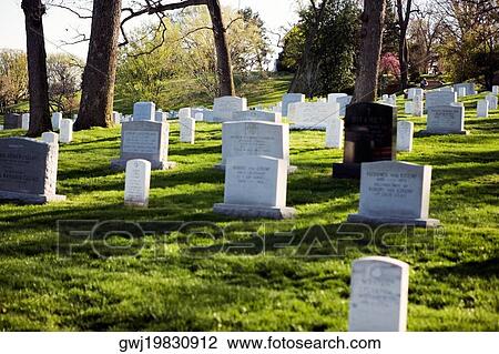 Gravestones in a graveyard, Arlington National Cemetery, Arlington, Virginia, USA View Large Photo Image Stock Image - Gravestones in a graveyard, Arlington National Cemetery, Arlington, Virginia, USA. Fotosearch
