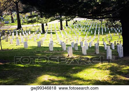 Stock Photo - Gravestones in a graveyard, Arlington National Cemetery, Arlington, Virginia, USA. Fotosearch