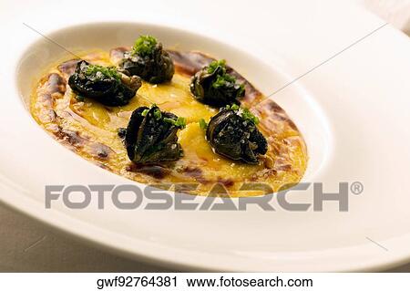 High angle view of a gourmet dish in a plate, plate View Large Photo Image Stock Image - High angle view of a gourmet dish in a plate, plate. Fotosearch