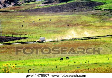 High angle view of a herd of animals grazing View Large Photo Image Stock Photo - High angle view of a herd of animals grazing. Fotosearch