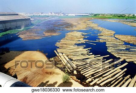 High angle view of wooden logs floating on water View Large Photo Image Stock Image - High angle view of wooden logs floating on water. Fotosearch