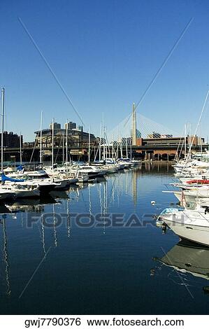 High angle view of yachts docked at a harbor, Boston, Massachusetts, USA View Large Photo Image Stock Photograph - High angle view of yachts docked at a harbor, Boston, Massachusetts, USA. Fotosearch