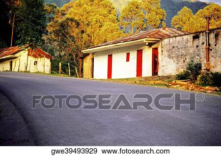 Houses along a road View Large Photo Image Stock Photo - Houses along a road. Fotosearch