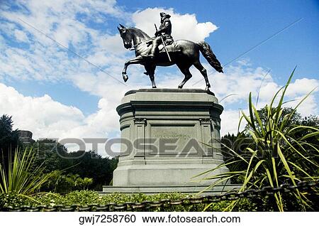Low angle view of a statue in a garden, George Washington statue, Boston Public Garden, Boston, Massachusetts, USA View Large Photo Image Stock Image - Low angle view of a statue in a garden, George Washington statue, Boston Public Garden, Boston, Massachusetts, USA. Fotosearch