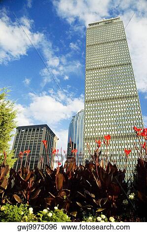 Low angle view of buildings in a city, Prudential Tower, Boston, Massachusetts, USA View Large Photo Image Stock Photograph - Low angle view of buildings in a city, Prudential Tower, Boston, Massachusetts, USA. Fotosearch