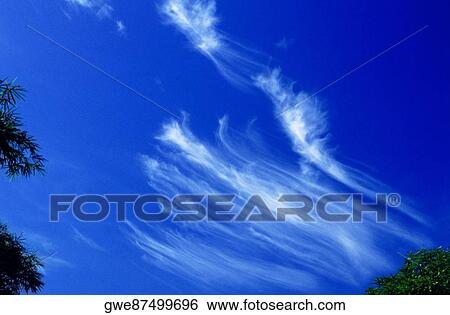 Low angle view of clouds in the sky View Large Photo Image Stock Photograph - Low angle view of clouds in the sky. Fotosearch