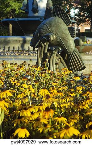 Metal sculpture of a fish in a garden, Boston, Massachusetts, USA View Large Photo Image Stock Photo - Metal sculpture of a fish in a garden, Boston, Massachusetts, USA. Fotosearch