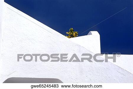 Plant on the wall of a building View Large Photo Image Stock Image - Plant on the wall of a building. Fotosearch